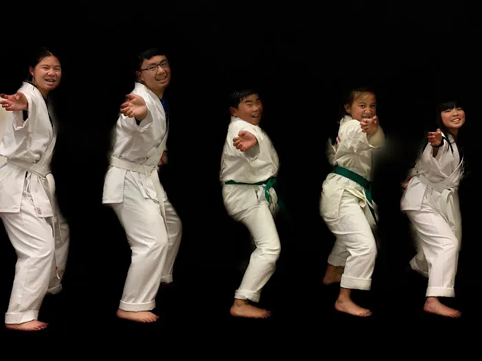 Chang Tai Do Karate & Fitness Picture 5