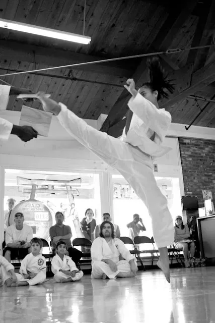 Camp Carter International Karate Association Picture 3