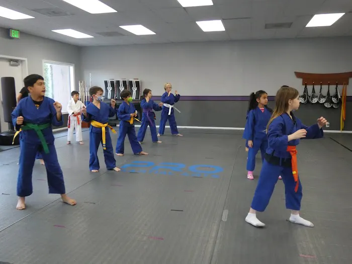 Barron Academy of Martial Arts Picture 3