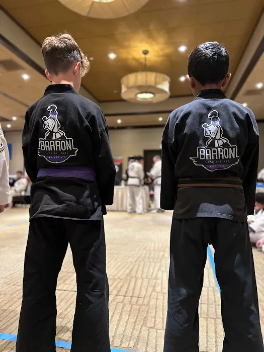Barron Academy of Martial Arts Picture 1