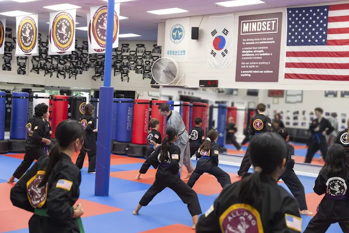 All-Pro Tae Kwon Do Academy Picture 8