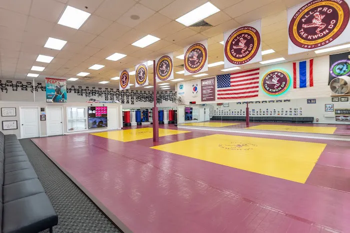 All-Pro Tae Kwon Do Academy Picture 9