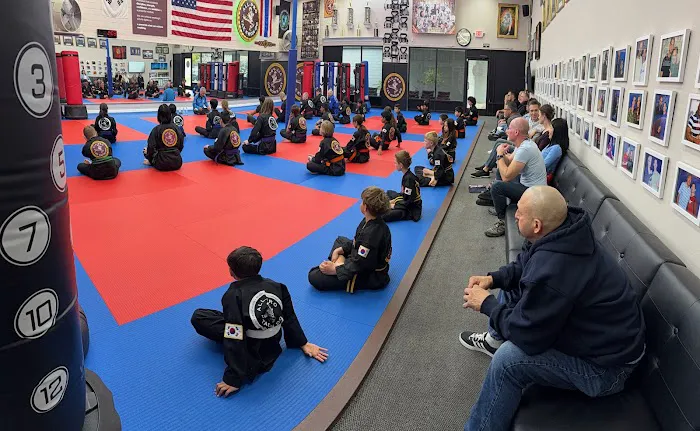 All-Pro Tae Kwon Do Academy Picture 6