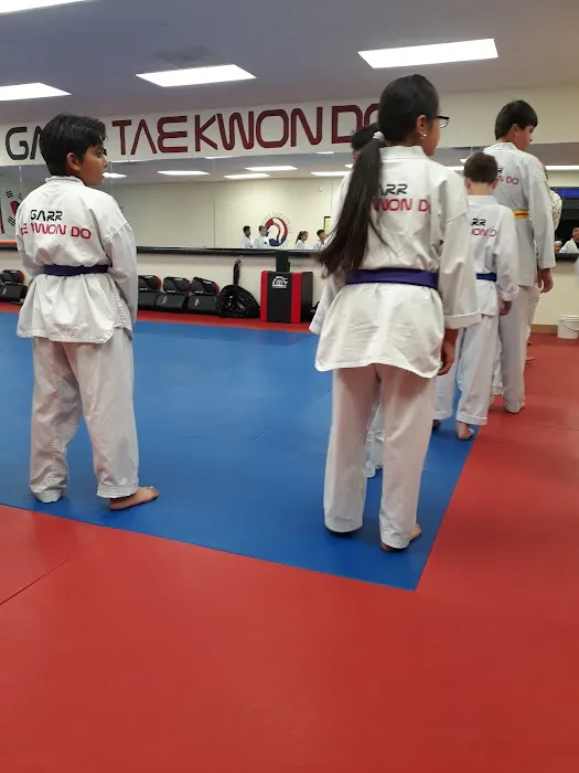 GARR Taekwondo Picture 2