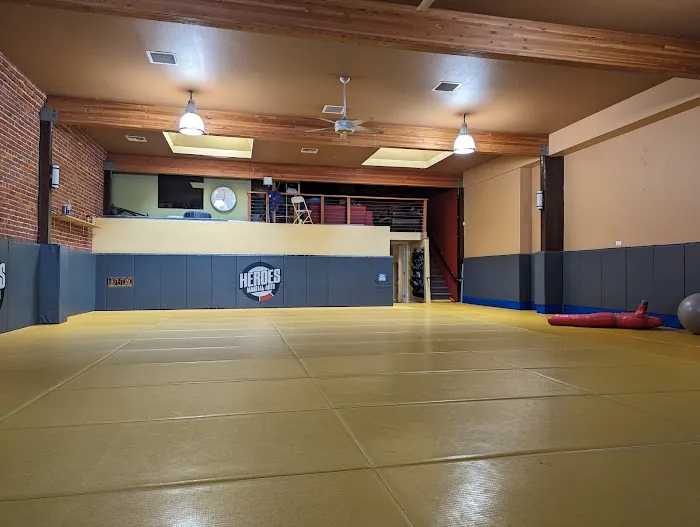 Heroes Martial Arts Picture 3