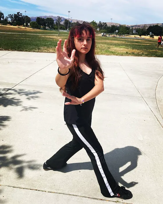 Wu Kong Martial Arts Picture 3