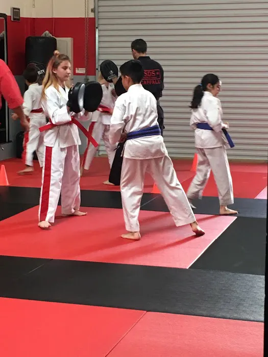 Self-Defense Solutions Picture 4
