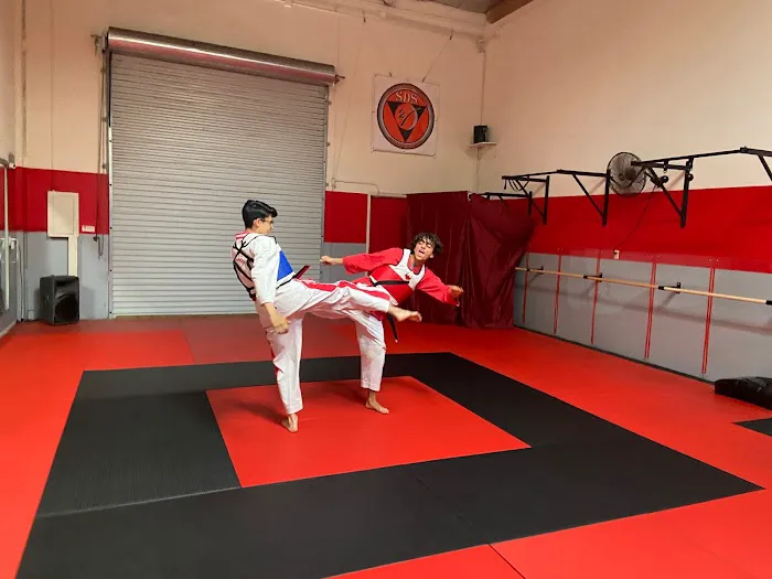 Self-Defense Solutions Picture 10