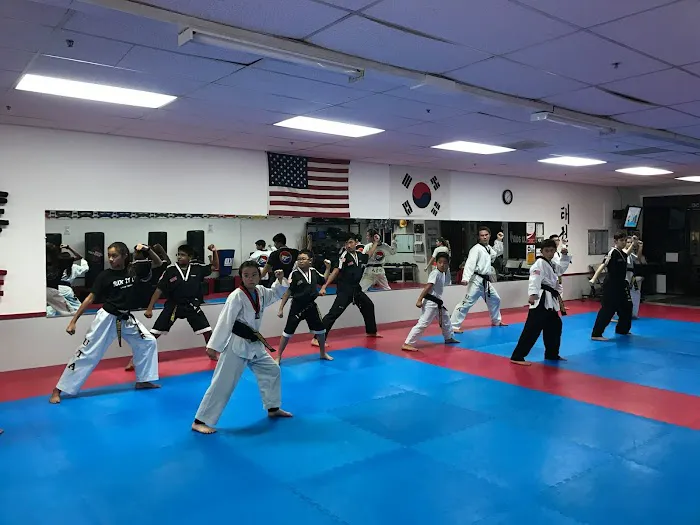 Almaden TaeKwonDo Picture 2