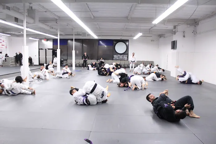 Guerrilla Jiu-Jitsu Martial Arts Academy Picture 1