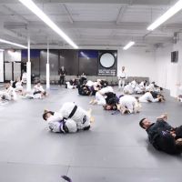 Guerrilla Jiu-Jitsu Martial Arts Academy ico