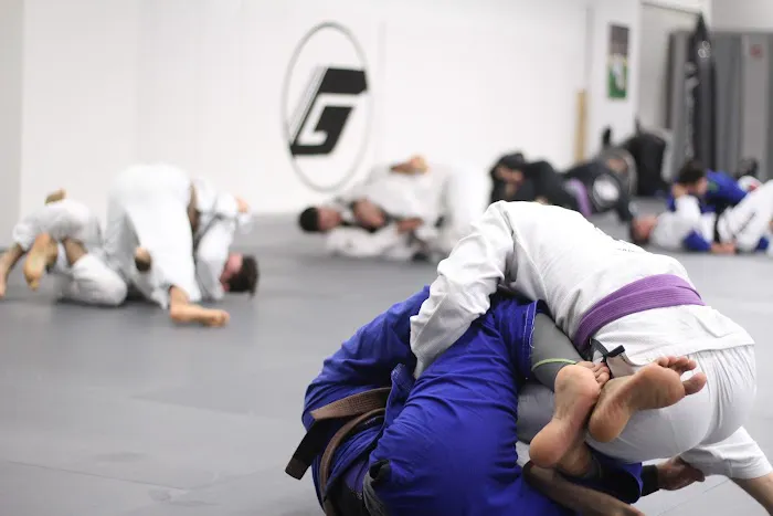 Guerrilla Jiu-Jitsu Martial Arts Academy Picture 3