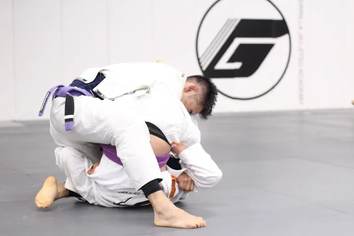 Guerrilla Jiu-Jitsu Martial Arts Academy Picture 9