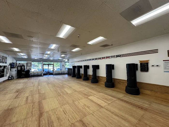 King's Martial Arts Academy Picture 2