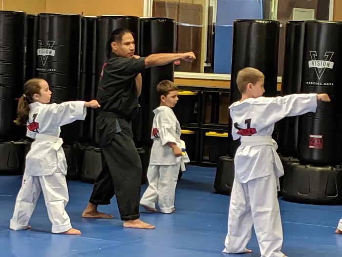 Vision Martial Arts - Almaden Picture 2