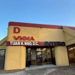 Vietnamese Mixed Martial Arts