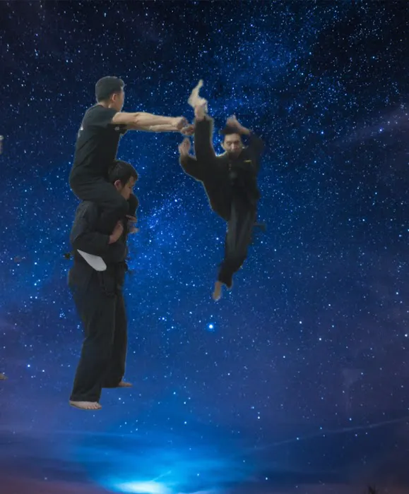 Vietnamese Mixed Martial Arts Picture 2