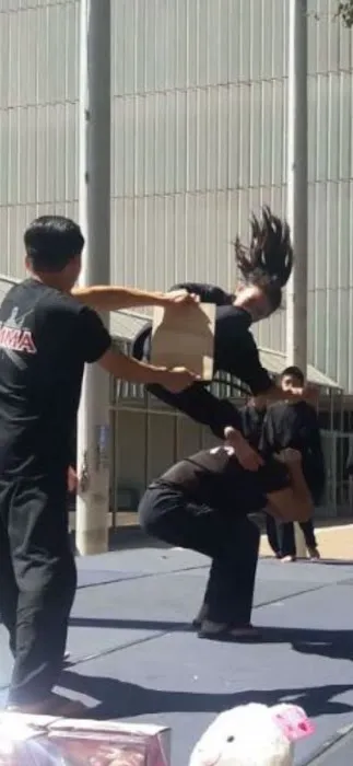 Vietnamese Mixed Martial Arts Picture 3