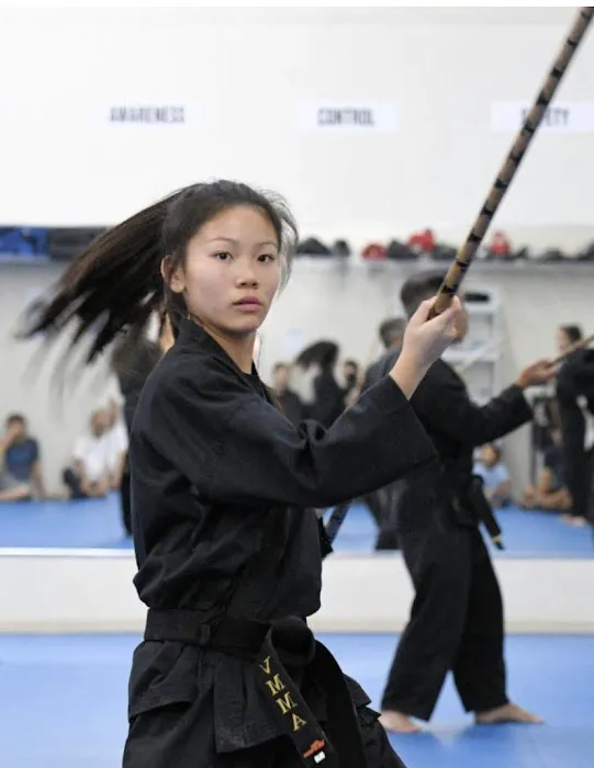 Vietnamese Mixed Martial Arts Picture 7