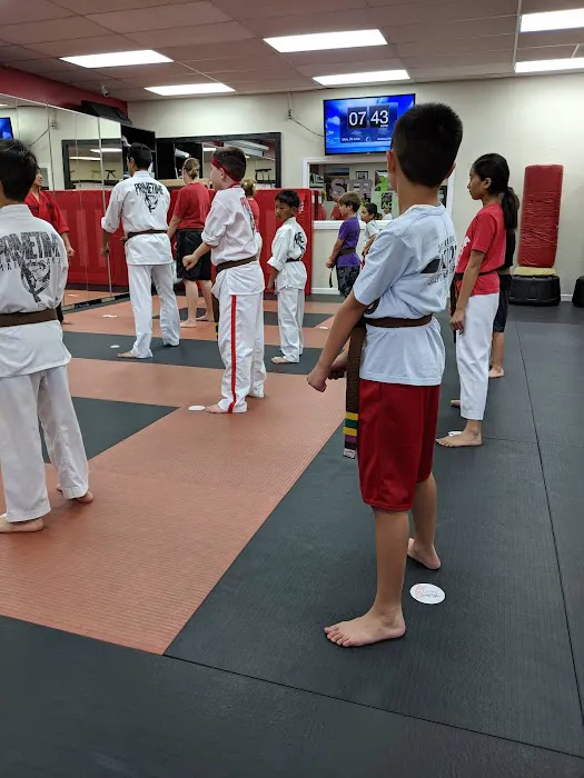 Primetime Martial Arts Picture 3