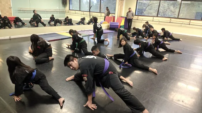 TKO San Jose Picture 3