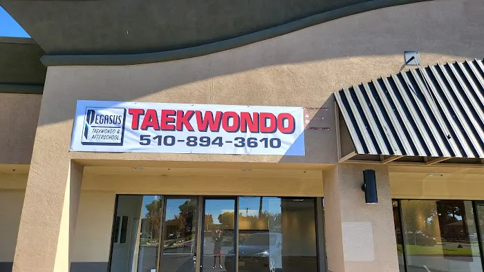 Pegasus Taekwondo After School Picture 1