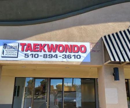 Pegasus Taekwondo After School