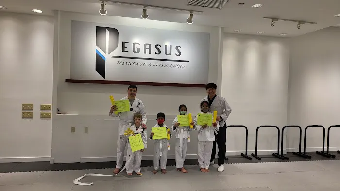 Pegasus Taekwondo After School Picture 5