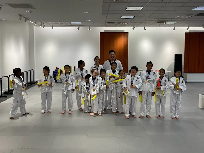 Pegasus Taekwondo After School Picture 7