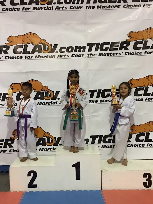 Grandmaster Park's Korean Tae Kwon Do Union Picture 3