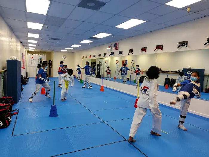BEST TAEKWONDO ACADEMY Picture 1