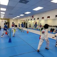 BEST TAEKWONDO ACADEMY ico