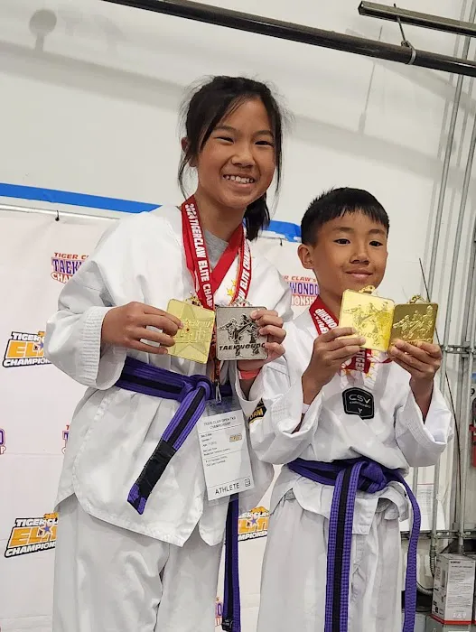 BEST TAEKWONDO ACADEMY Picture 8