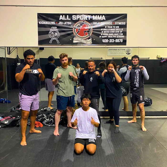 All Sport MMA Picture 5