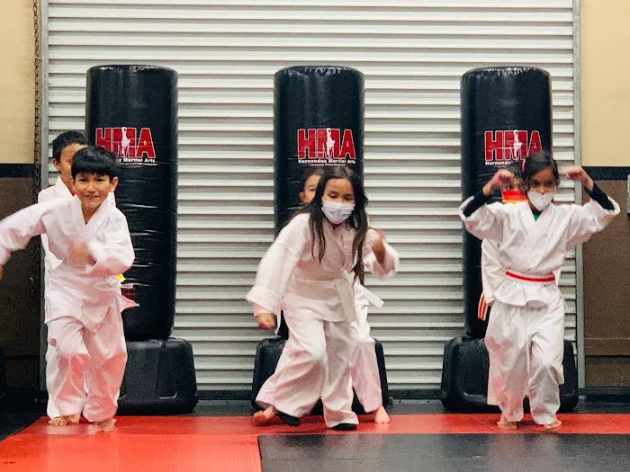 Hernandez Martial Arts Picture 5