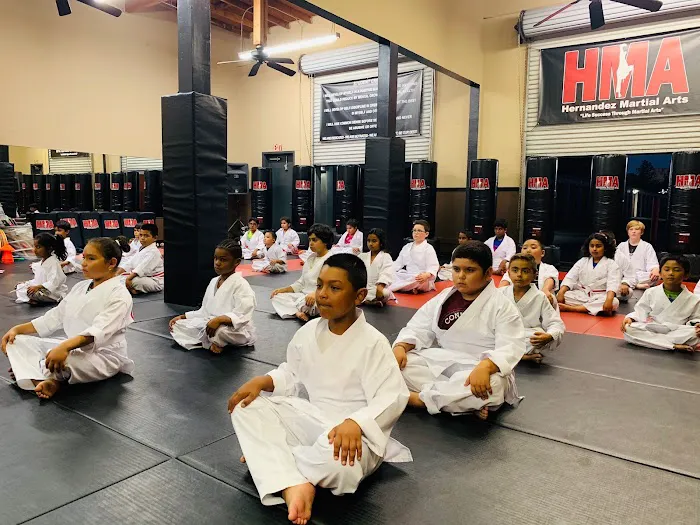 Hernandez Martial Arts Picture 9