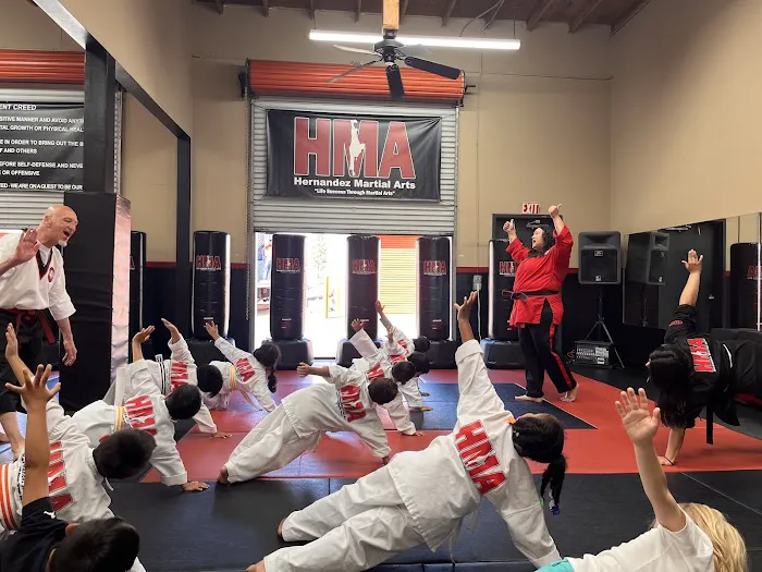 Hernandez Martial Arts Picture 7