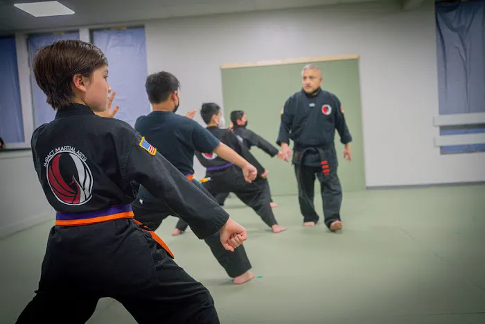 Impact Martial Arts Picture 6