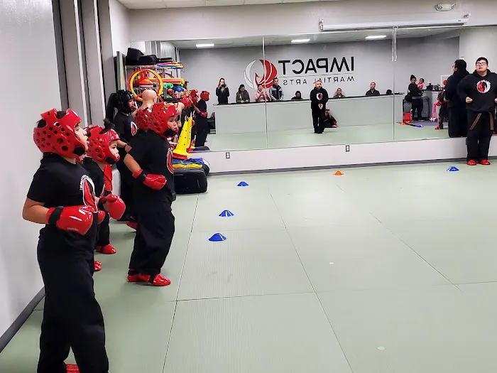 Impact Martial Arts Picture 4