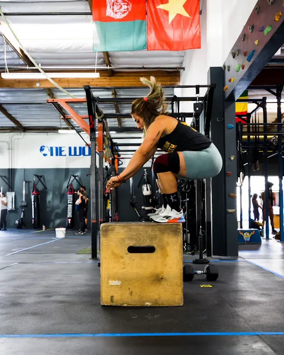 Crossfit One World & Self Defense Picture 9