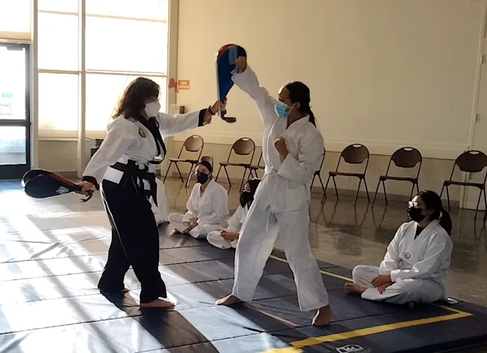 InNae Academy of Martial Arts LLC Picture 8