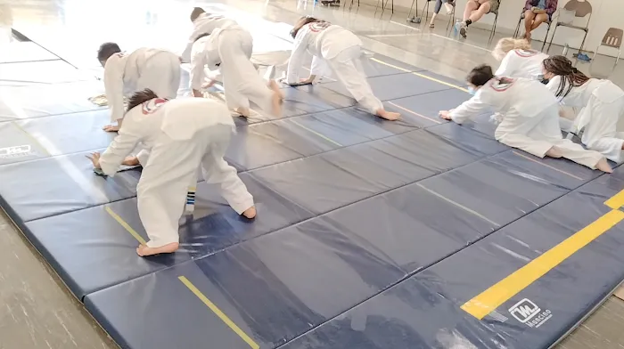 InNae Academy of Martial Arts LLC Picture 9