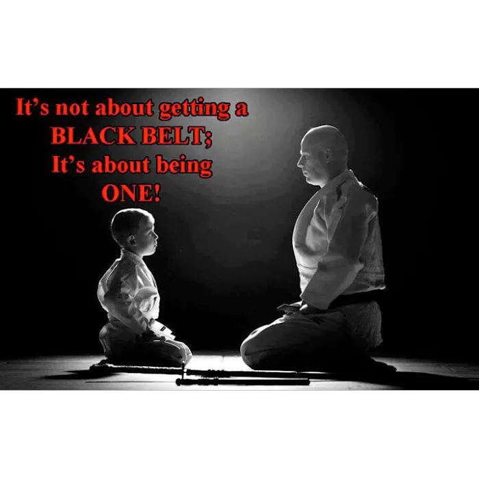 Esteller Martial Arts Picture 9