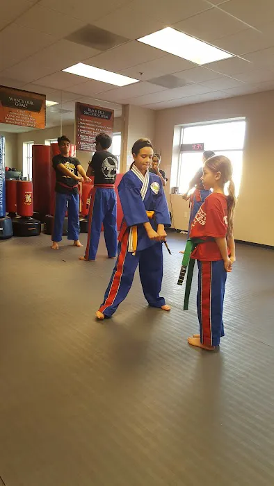 Ernie Reyes' West Coast World Martial Arts Picture 5