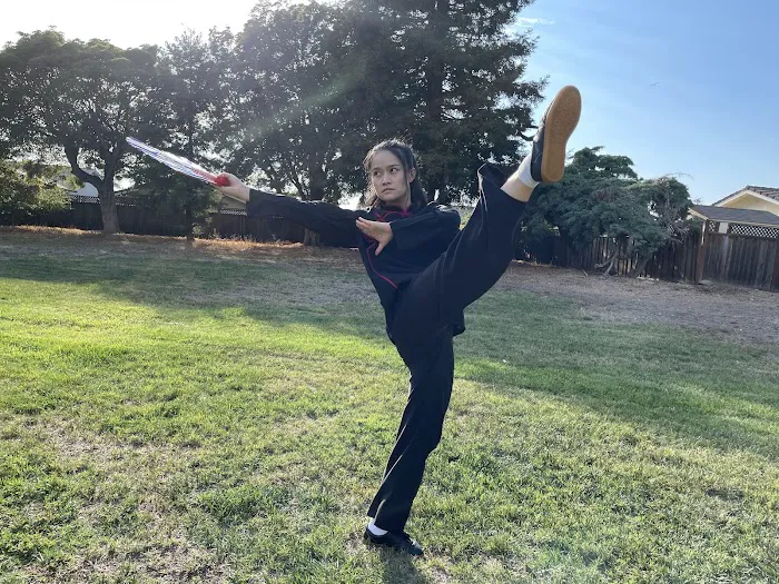 Eagle Martial Arts Picture 5
