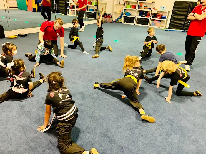 Kung Fu Kids Pleasanton Picture 4