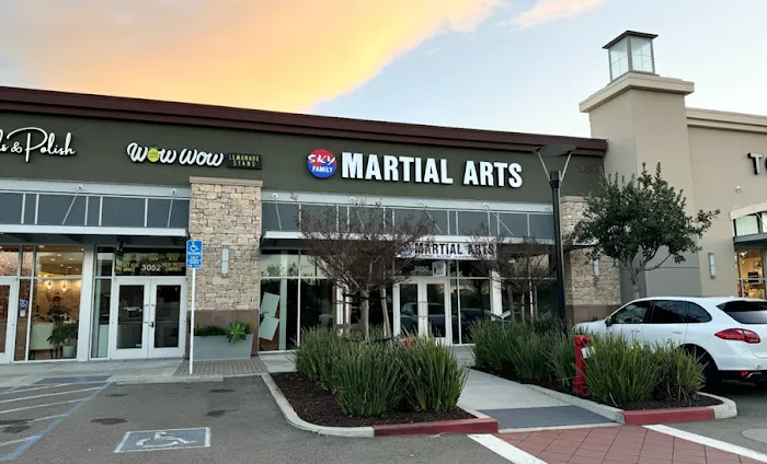 Sky Family Martial Arts Picture 9