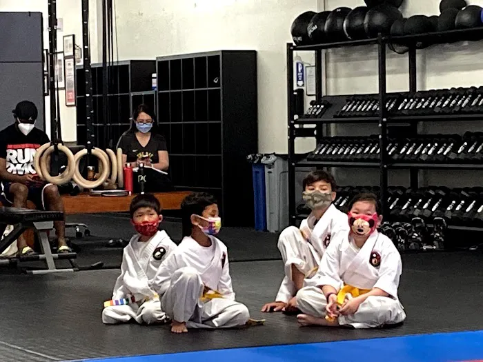 Kokua Martial Arts Fitness Academy Picture 1