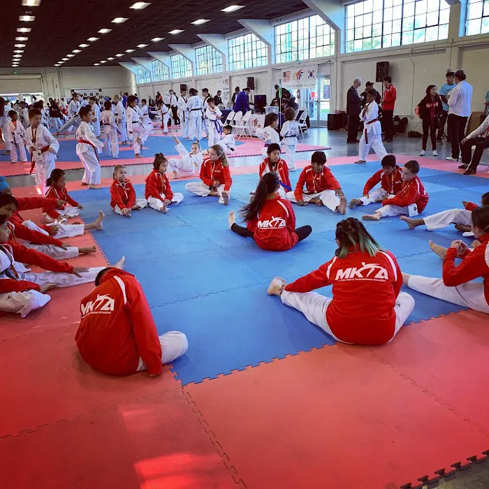 Master Kim's Taekwondo Academy Picture 6
