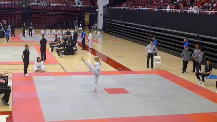 Master Kim's Taekwondo Academy Picture 10